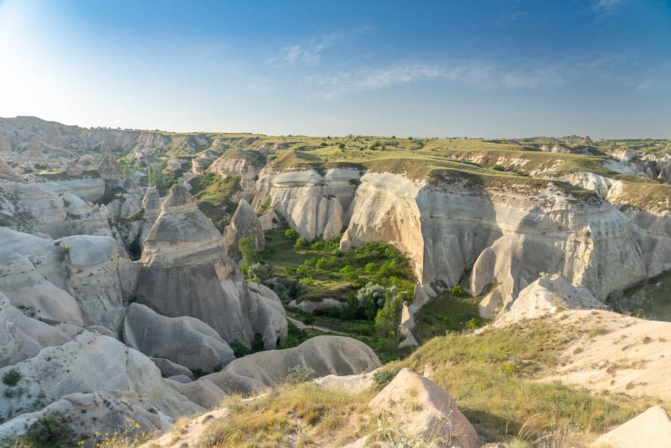 The pale ridges and green floor of Red Valley in daylight